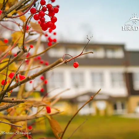 Hradok Hotel Jelsava