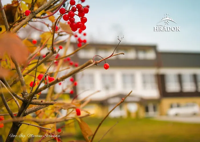 Hradok Hotel Jelsava